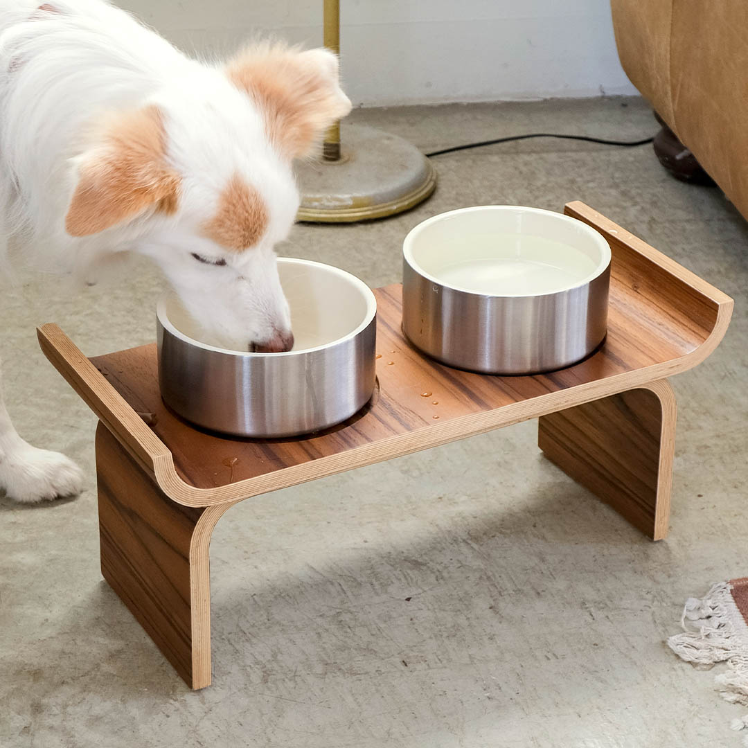 DOG BOWL STAND M