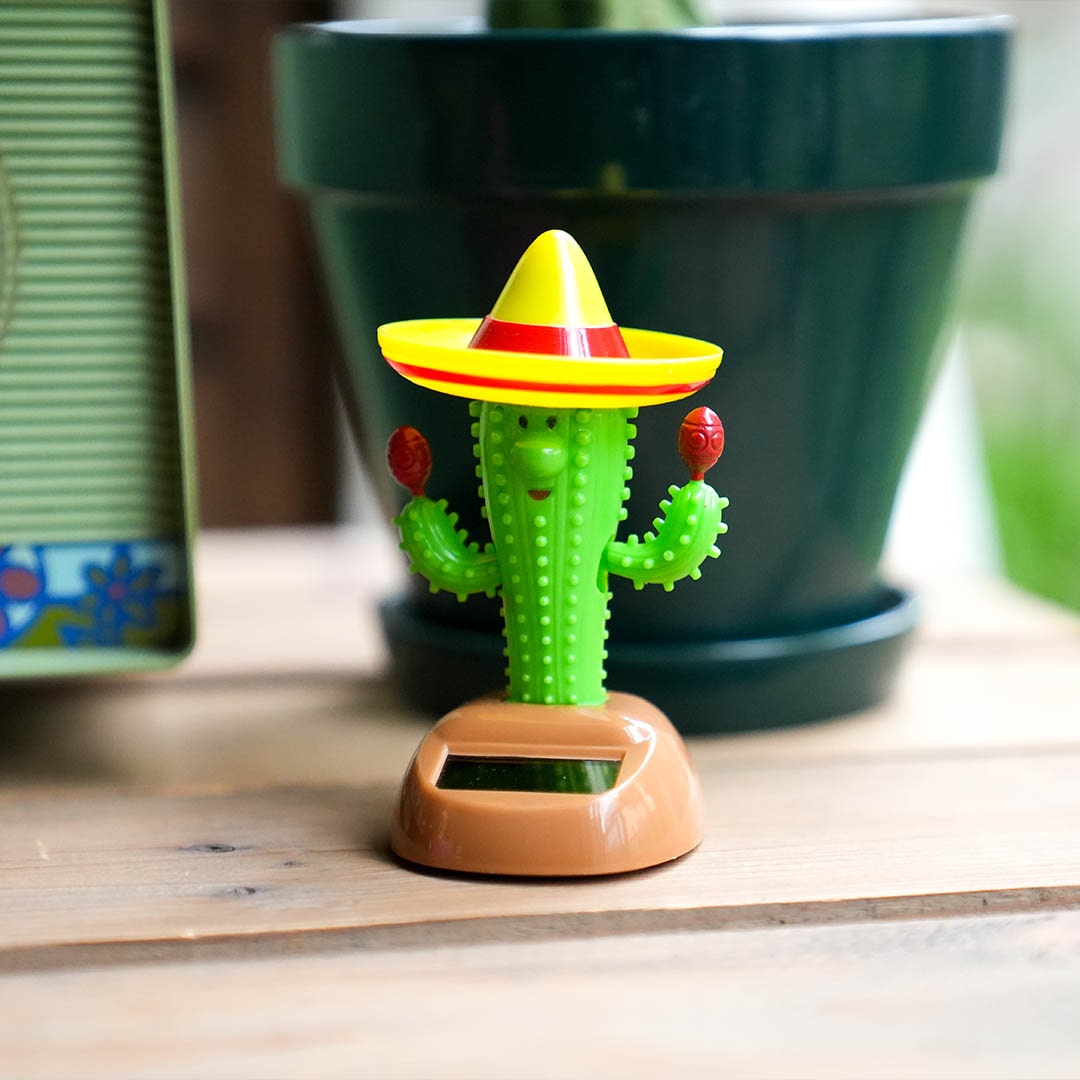SOLAR DANCER CACTUS