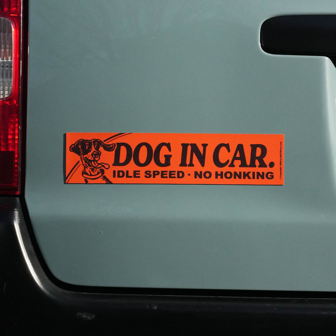 CAR MESSAGE MAGNET DOG IN CAR