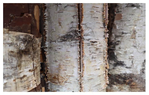 SWEDISH BIRCH CANDLE