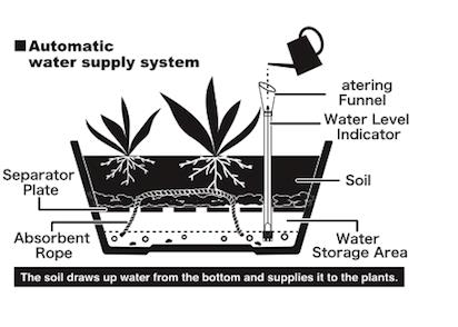 SELF WARTERING PLANTER