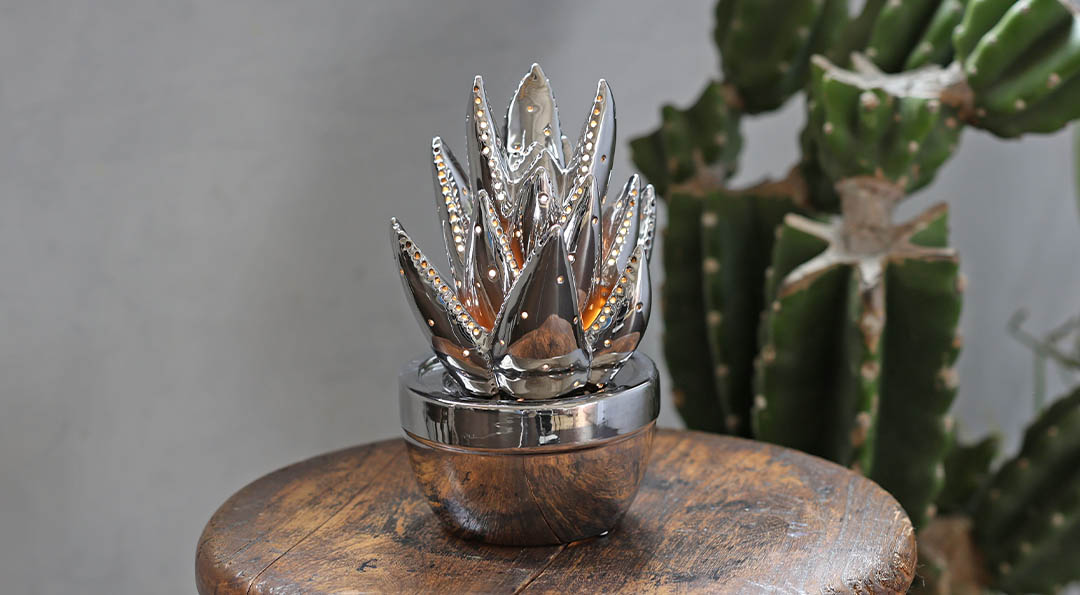 ALOE