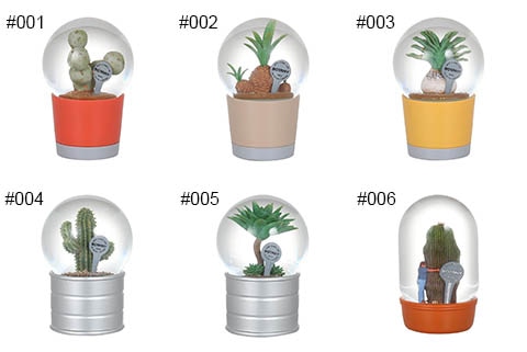 PLANTS WATER GLOBE