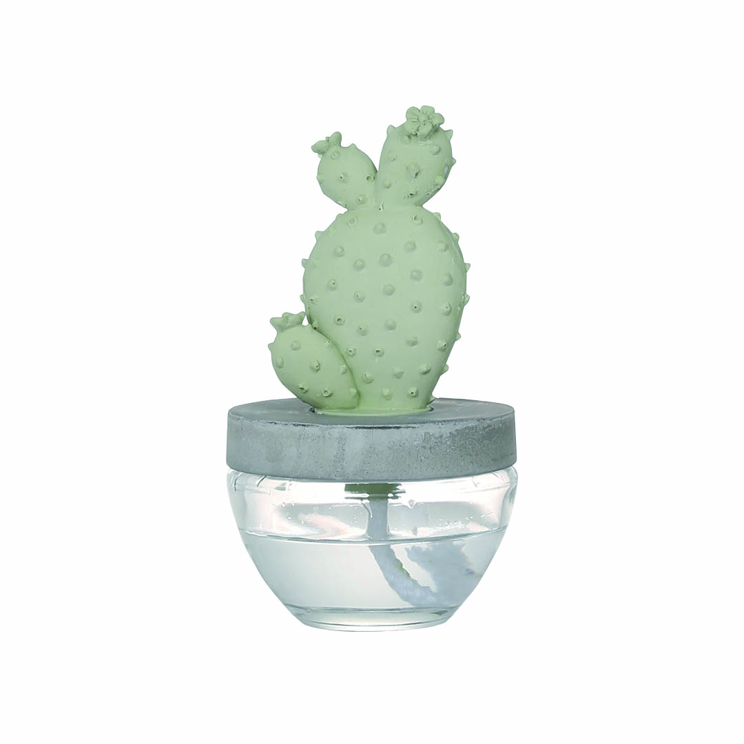 CACTUS FRAGRANCE DIFFUSER A E.PEONY