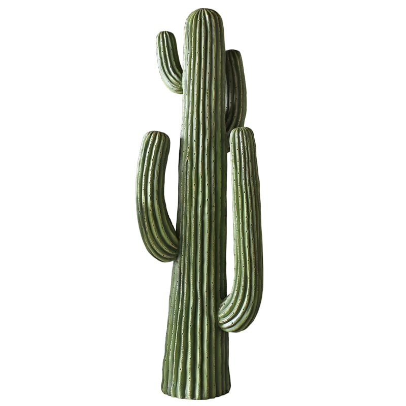 CACTUS A