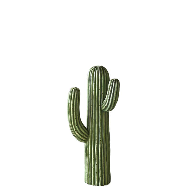 CACTUS B