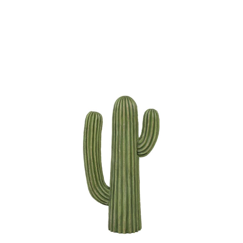 CACTUS C