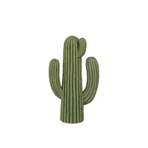 CACTUS E