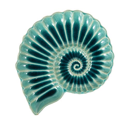FOSSIL PLATE-M