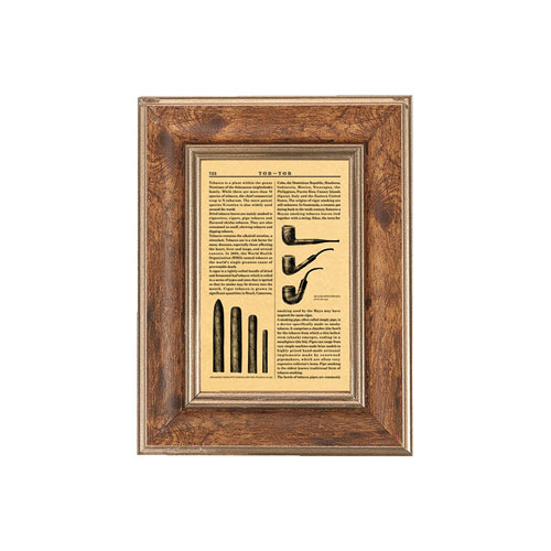BIBLION FRAME A