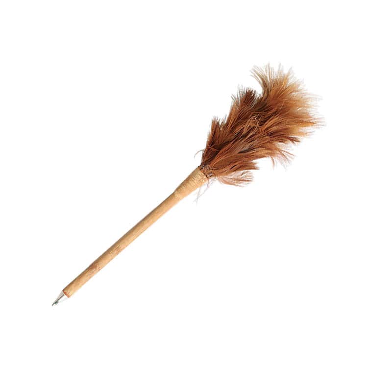 TIDY GUY'S PEN FEATHER DUSTER