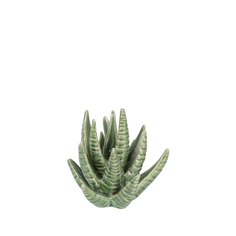 CACTUS RING HOLDER ALOE