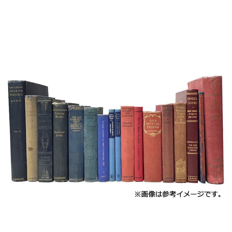 USED BOOK ASSORTED (RED,BLUE) 25cm
