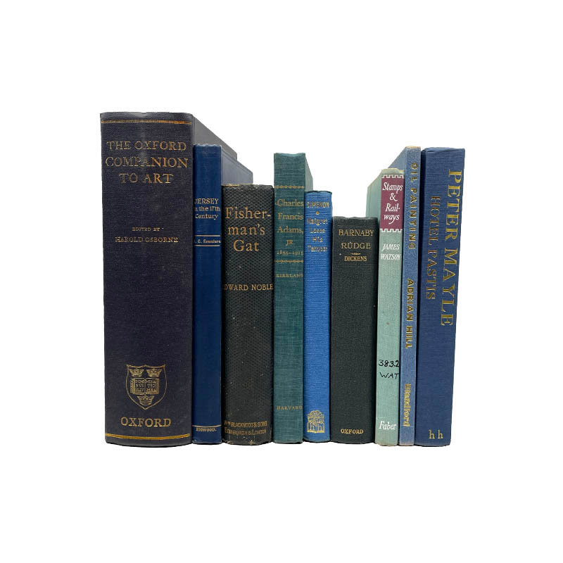 USED BOOK BLUE-25cm