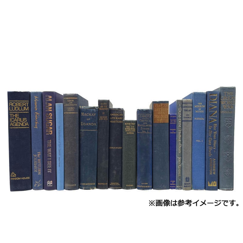 USED BOOK BLUE-50cm