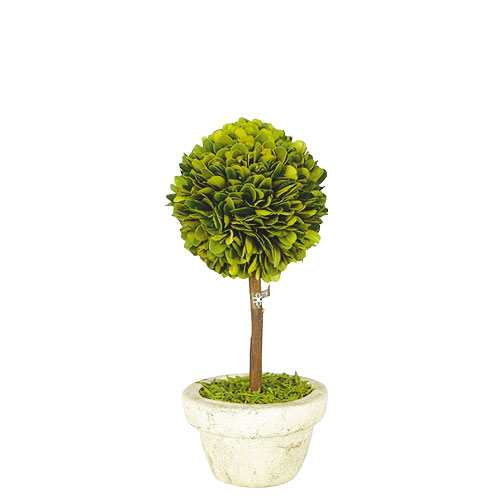 TOPIARY BALL-M