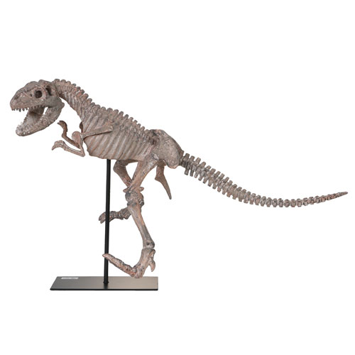 DINOSAUR TYRANNOSAURUS