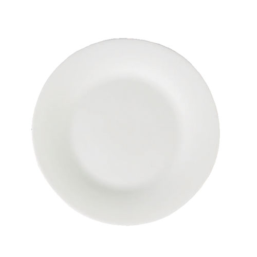 DINNER PLATE 250
