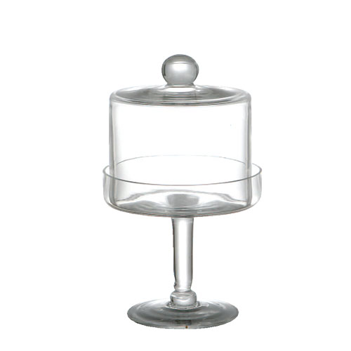 GLASS DOME-S
