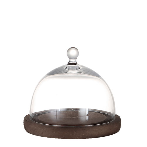 GLASS DOME  MIRROIRS S