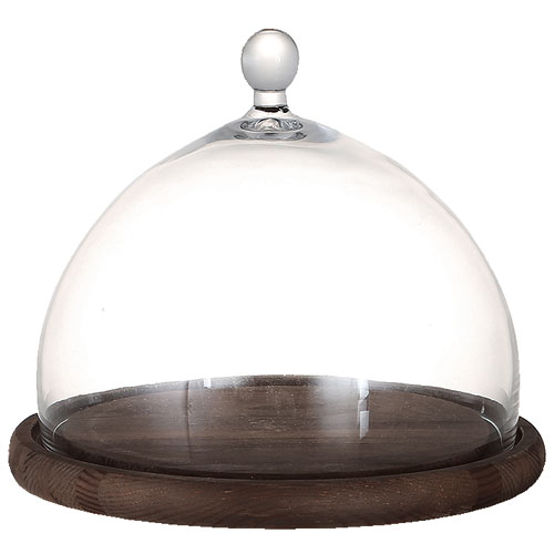GLASS DOME  MIRROIRS L