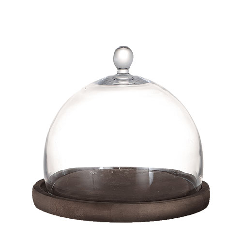 GLASS DOME MIRROIRS M
