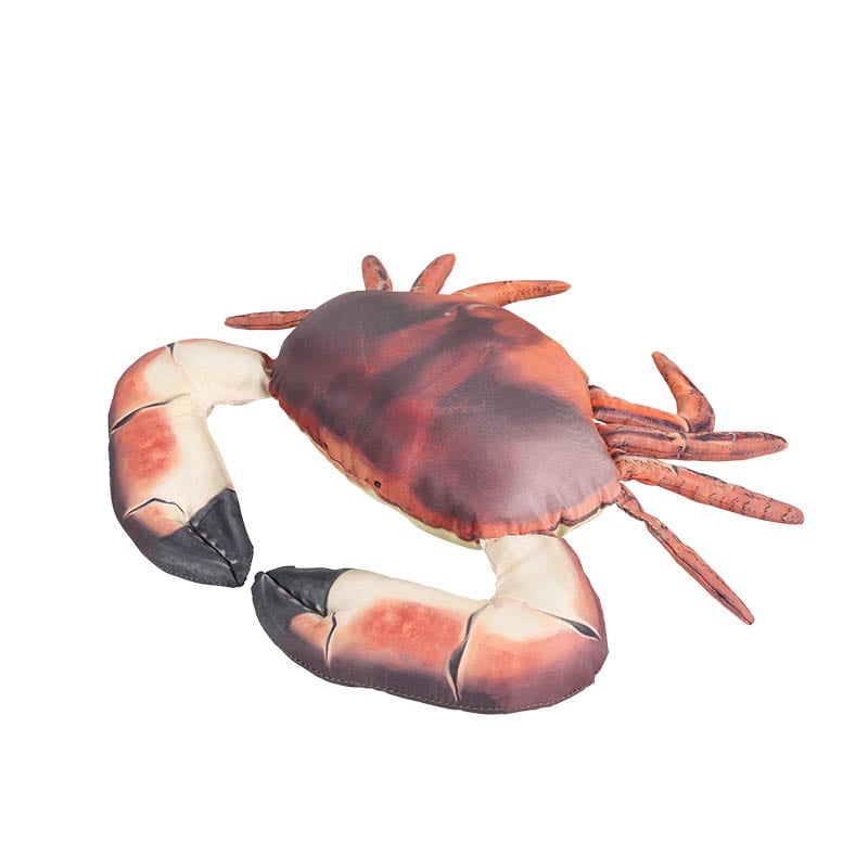 DULTON ONLINE SHOP | FISHES BROWN CRAB 25(BROWN CRAB): ハウスウェア