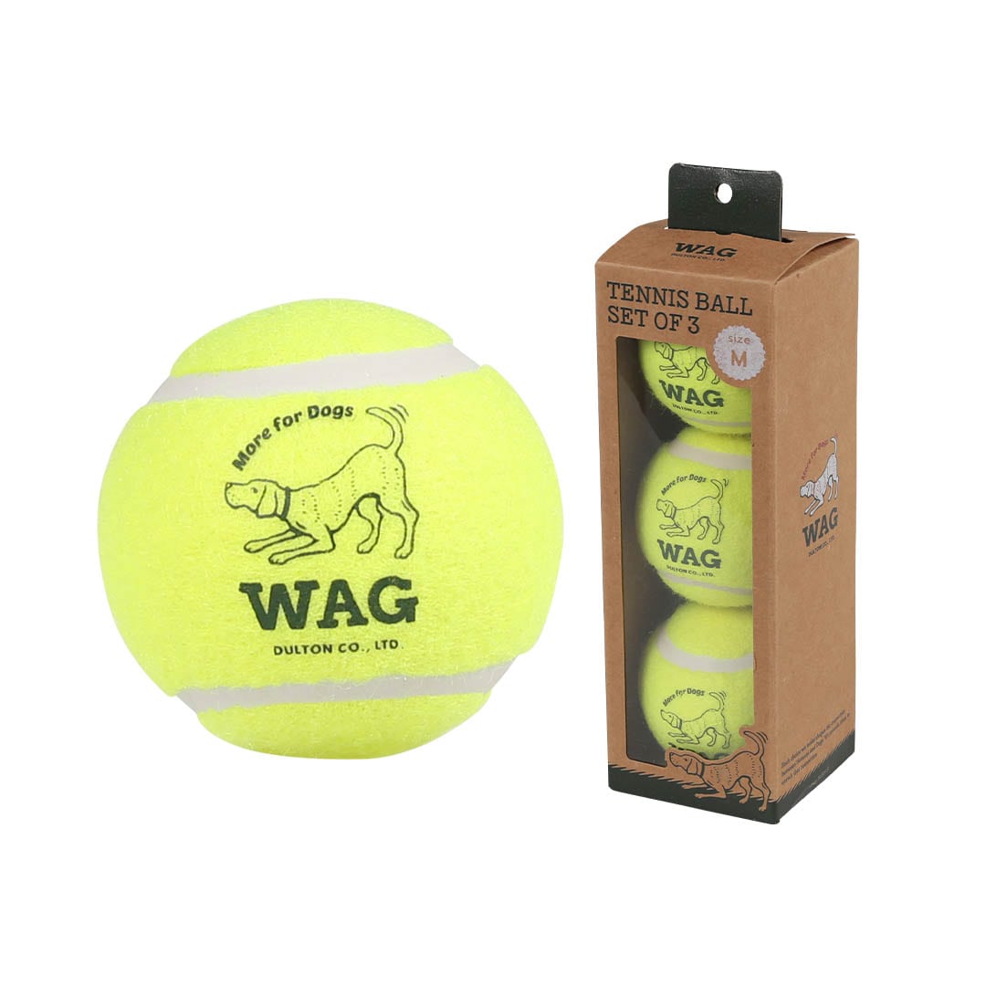 DULTON ONLINE SHOP | TENNIS BALL SET OF 3 M(M): ハウスウェア