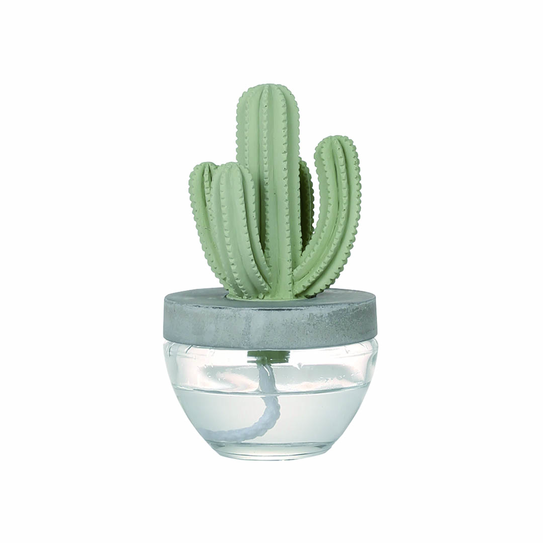 CACTUS FRAGRANCE DIFFUSER B OCEAN BREEZE