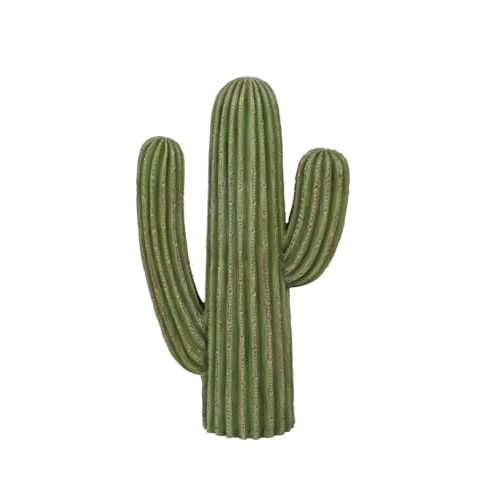 CACTUS D