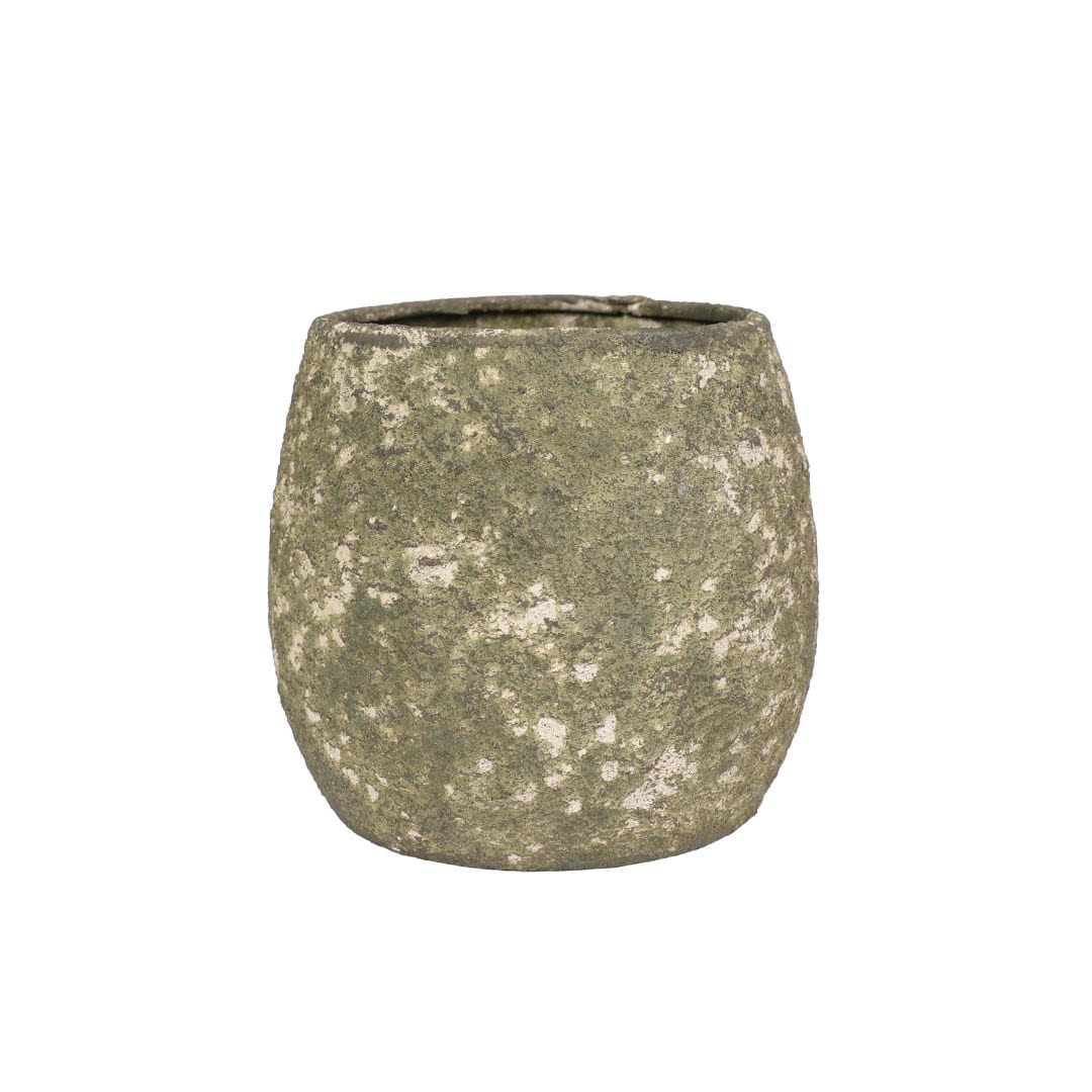 MOSS IRON POT A