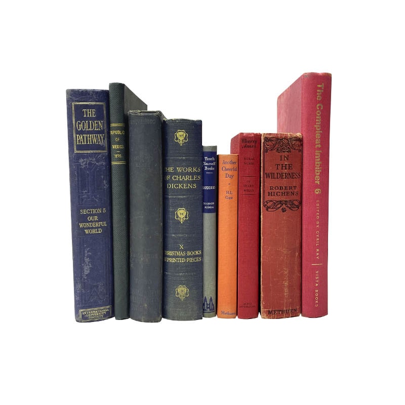 USED BOOK ASSORTED (RED,BLUE) 25cm