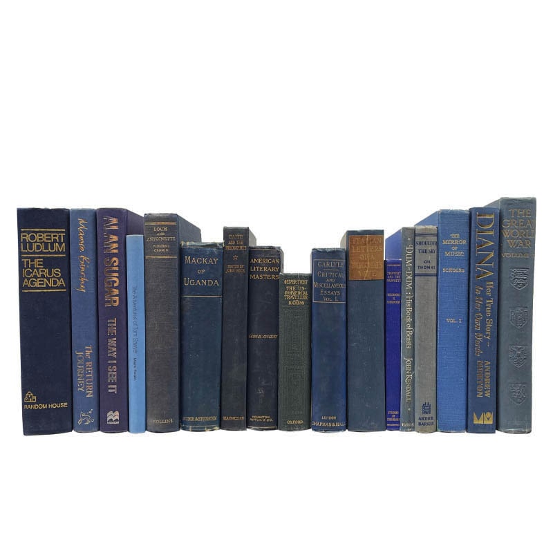 USED BOOK BLUE-50cm