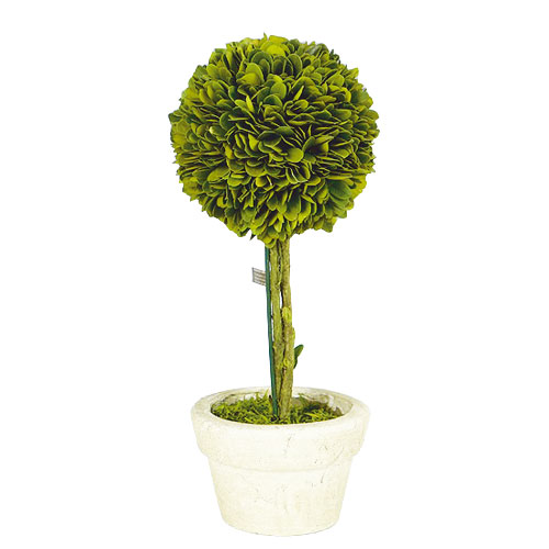 TOPIARY BALL-L