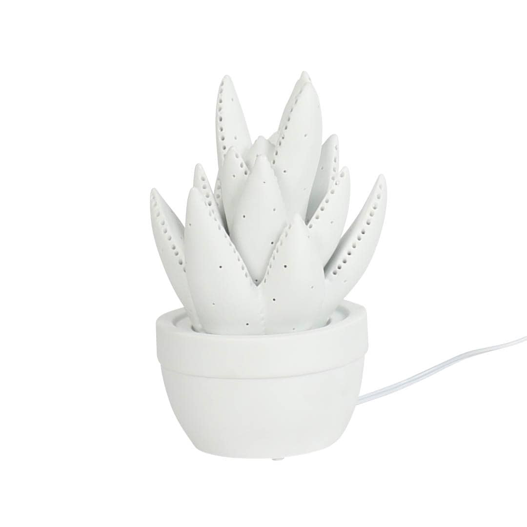 PORCELAIN ALOE LIGHT MAT WHITE