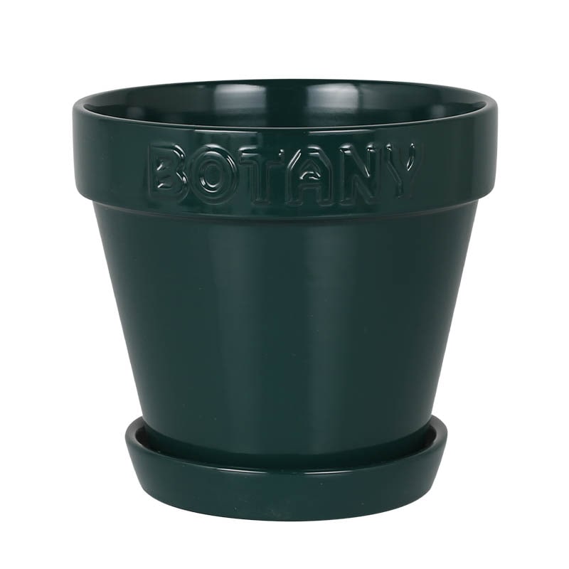 BOTANY POT 6 GREEN