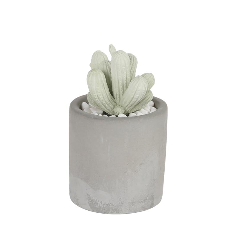 CACTUS FRAGRANCE DIFFUSER SPRING FLOWER