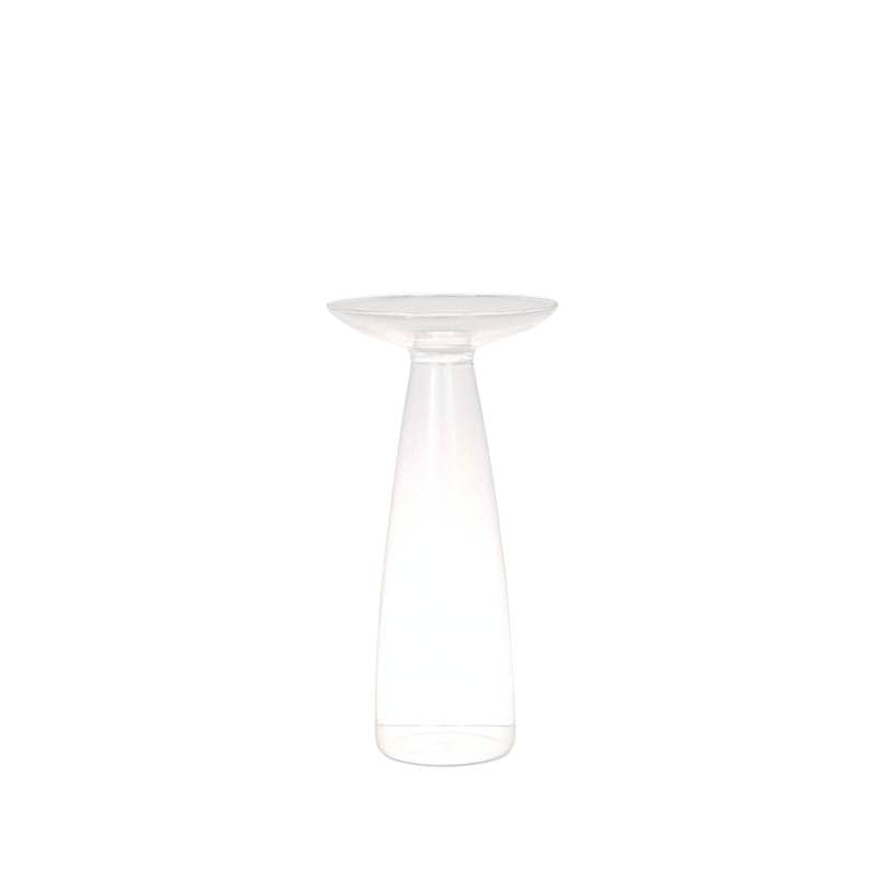 GLASS VASE ERYNGIUM S