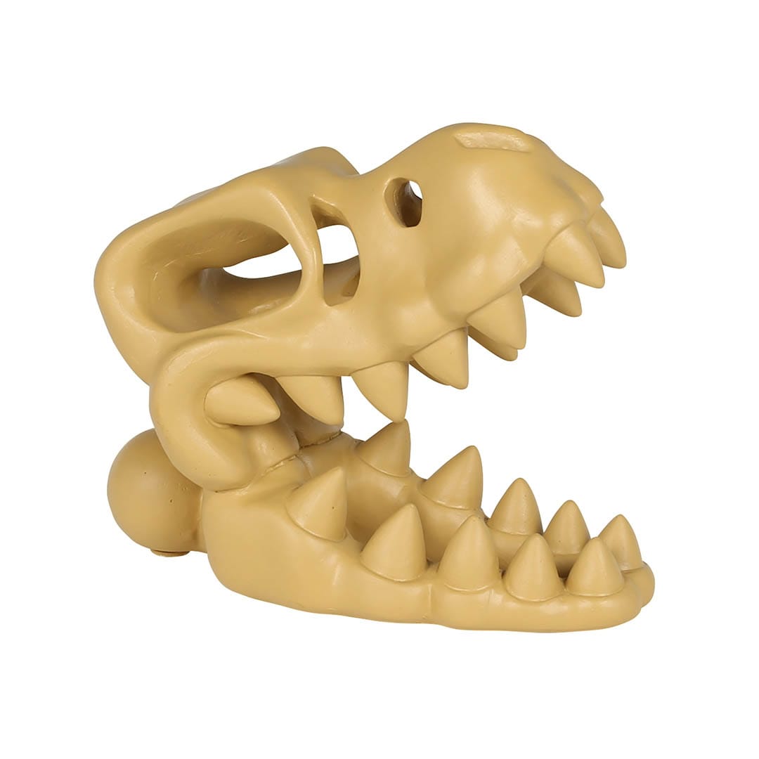 SKELETON HEAD T.REX
