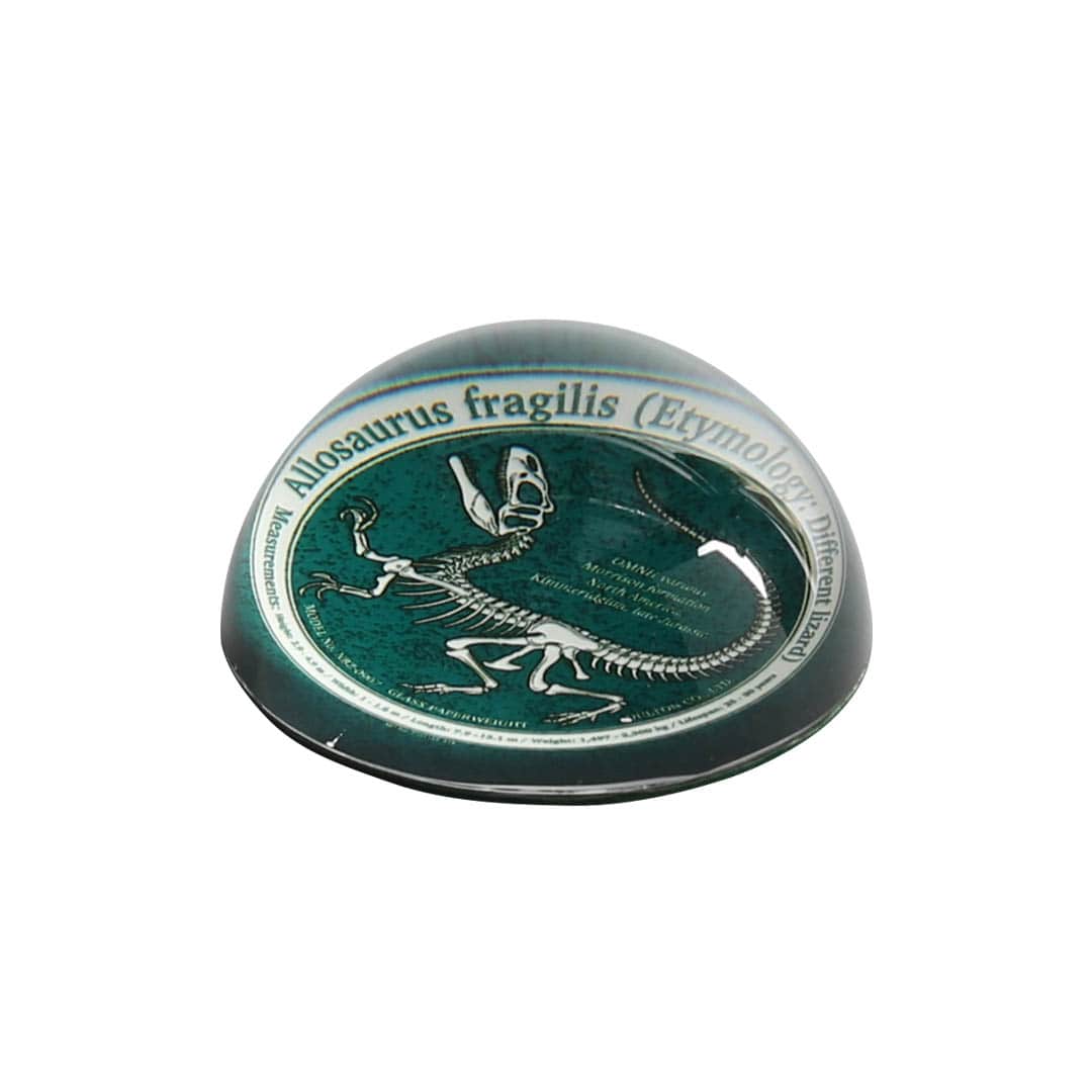 GLASS PAPERWEIGHT GLOW ALLOSAURUS