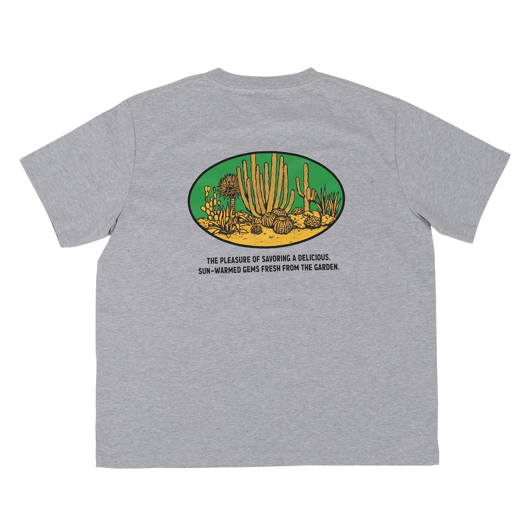 BOTANY T-SHIRT SAGUARO L GRAY