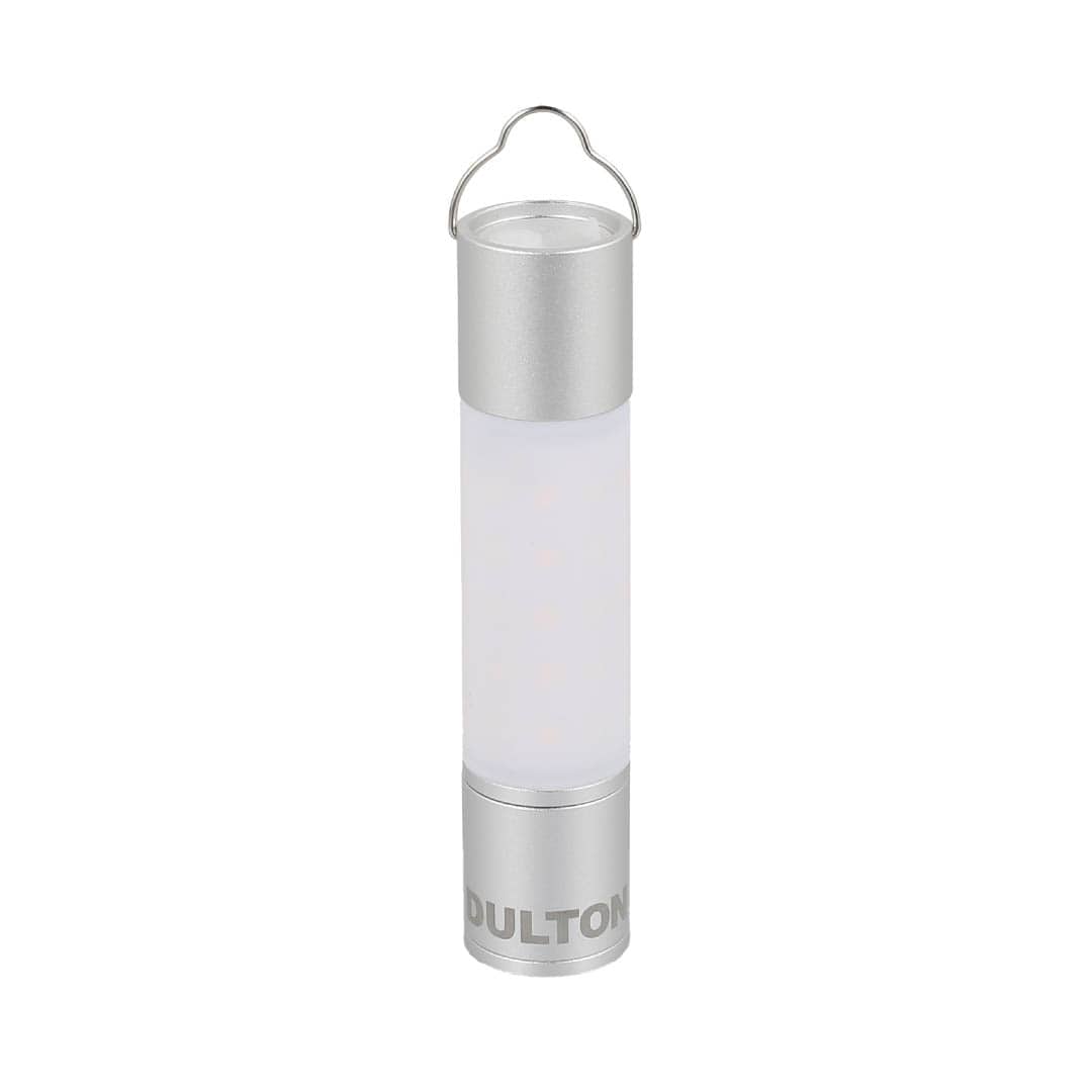 MINIMALIGHT SILVER