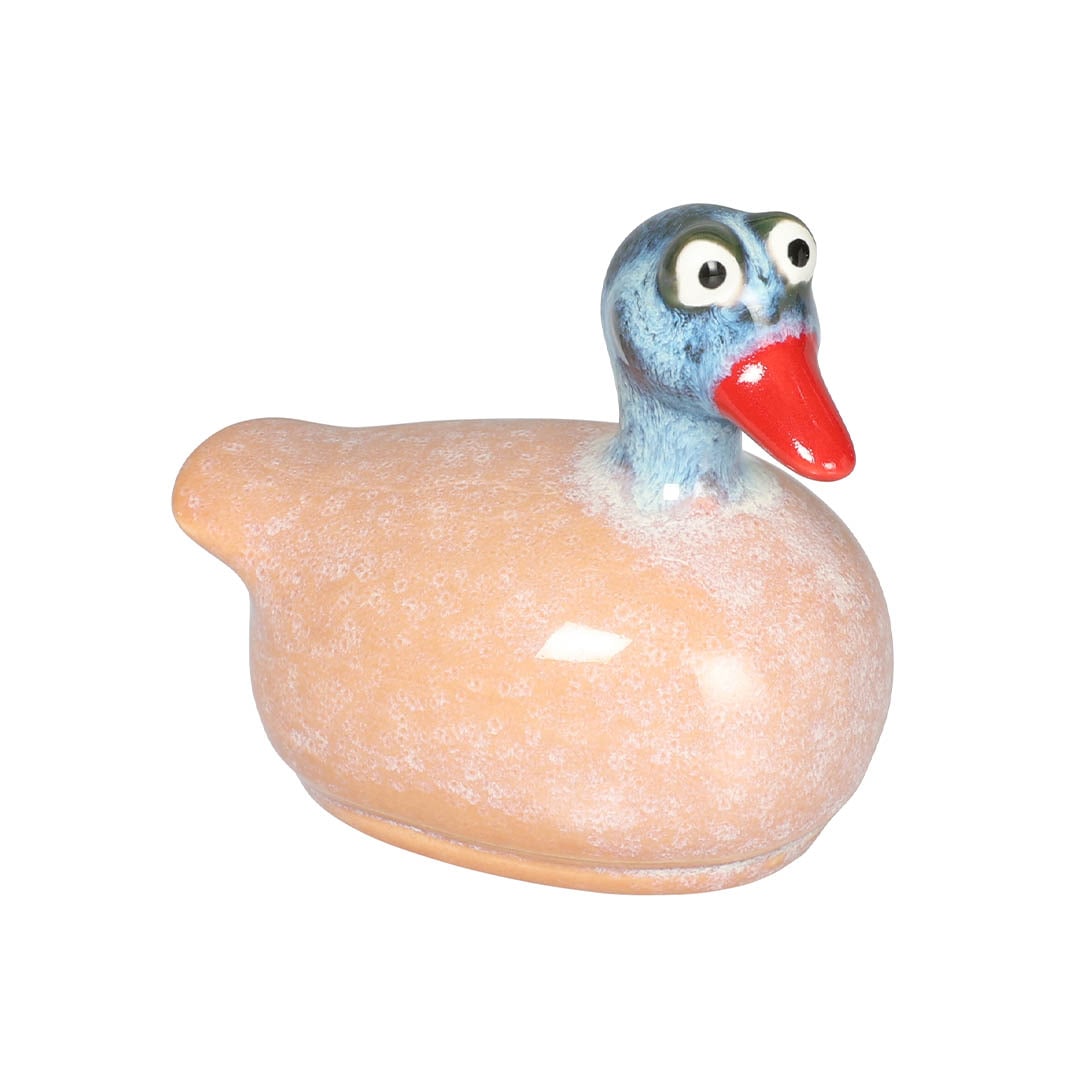 FLOATING DUCK PINK/BLUE