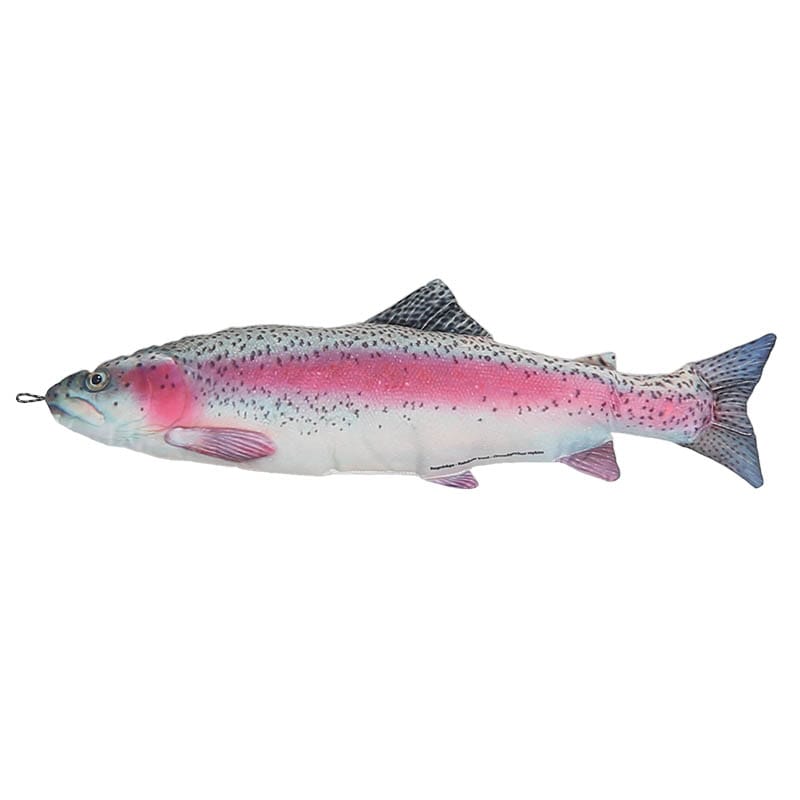 FISHES RAINBOW TROUT 70