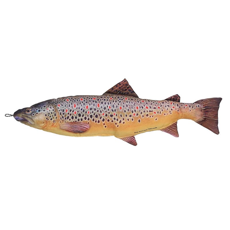 FISHES BROWN TROUT 70