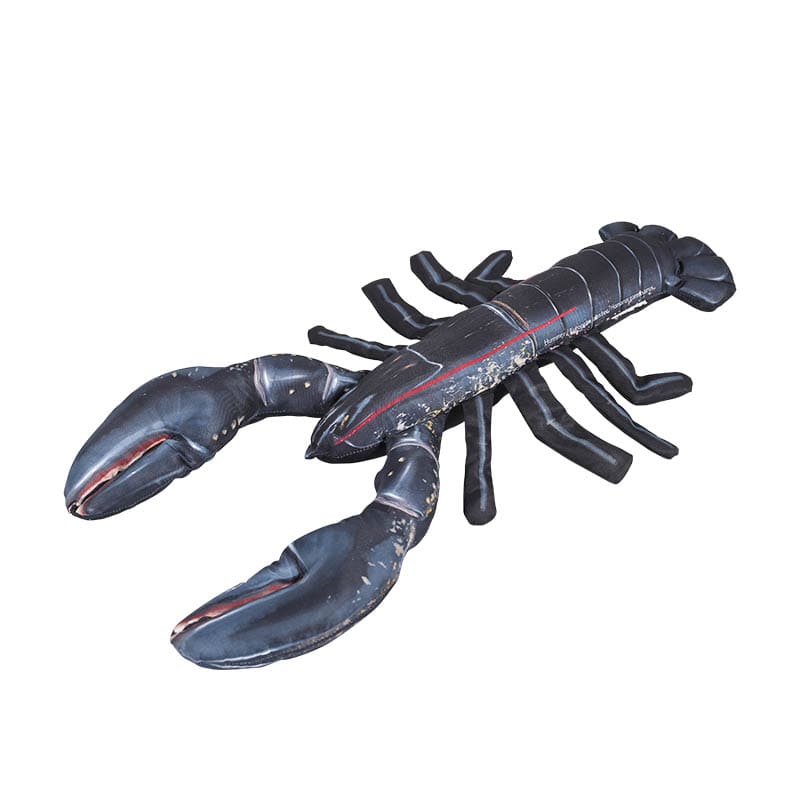 FISHES EUROPEAN LOBSTER 45