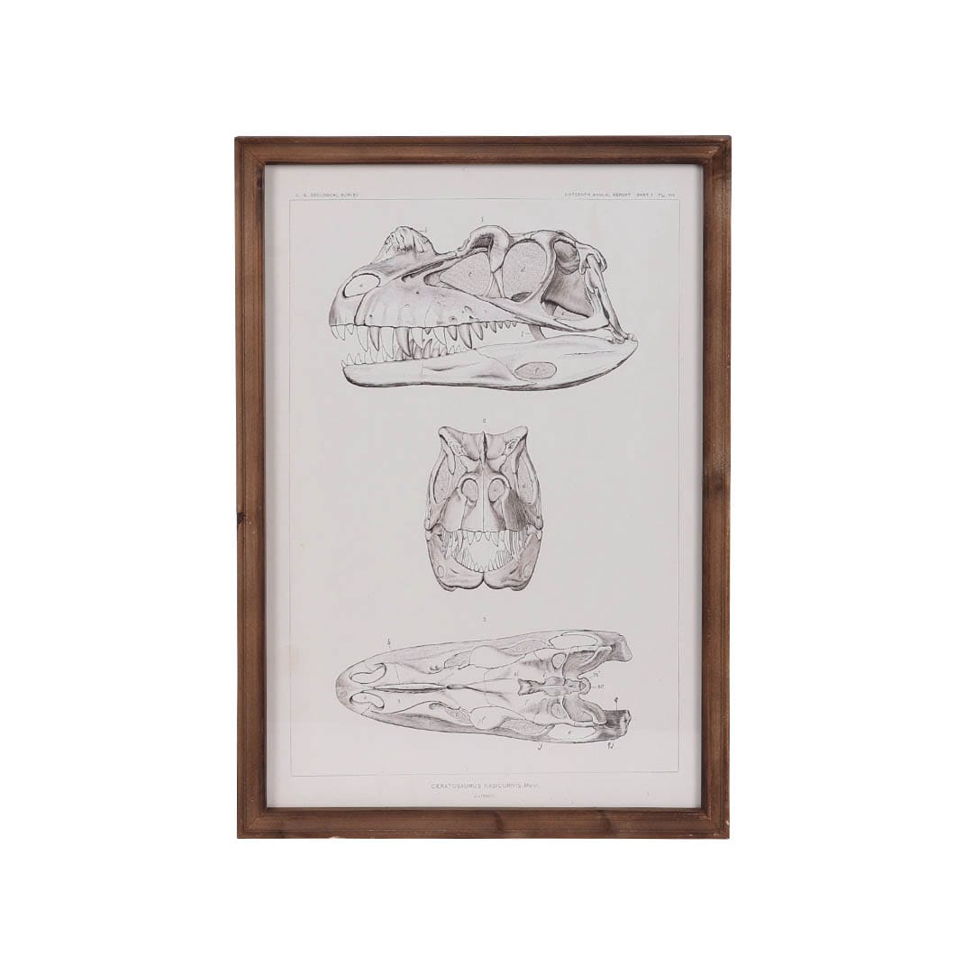 ART FRAME CERATOSAURUS