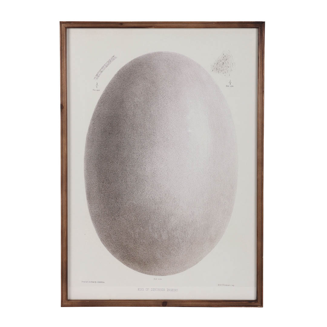 ART FRAME EGG