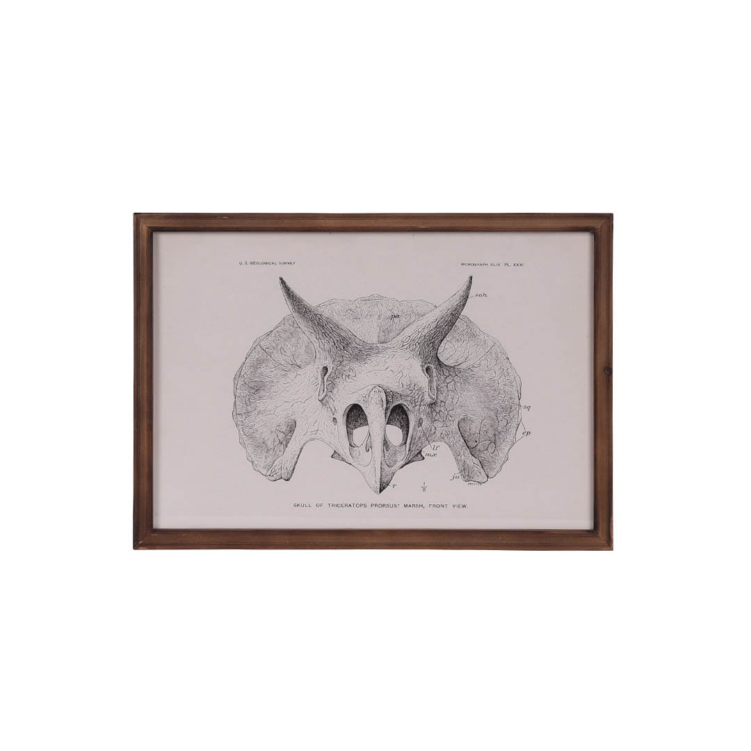 ART FRAME TRICERATOPS