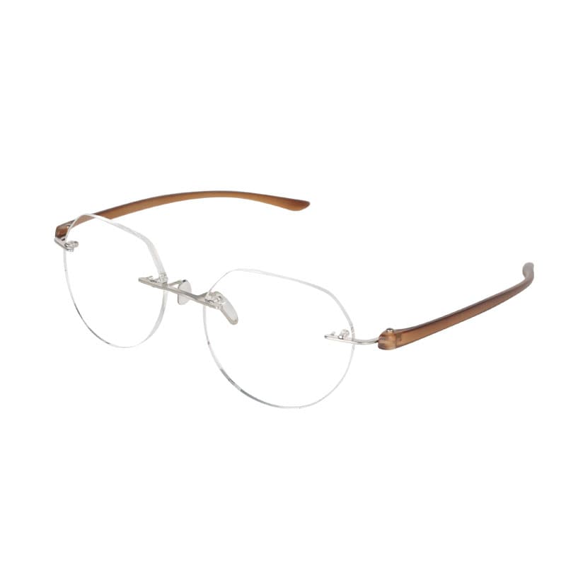 READING GLASSES BROWN 1.0